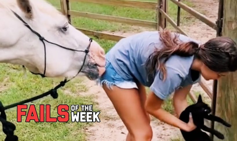 Animals Gone Wild! | Fails Of The Week