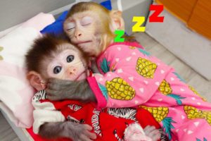 🙉Animals Home Monkey baby Bi Bon helps dad cook and take care of her younger brother | Funny Video