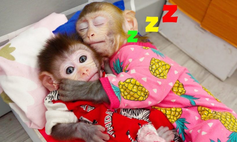 🙉Animals Home Monkey baby Bi Bon helps dad cook and take care of her younger brother | Funny Video