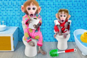 🙉Animals Home Monkey baby Bi Bon helps dad cook soup and take care of his brother | Funny Video