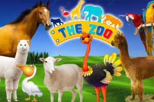 Animals in the zoo: dog, horse, ostrich, sheep - Part 1