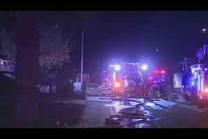 Animals rescued in Peoria house fire