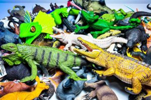 Asia Animals, Australian Animals & Reptiles