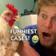 BONDI VET'S FUNNIEST CASES 😂 | Compilation | Bondi Vet