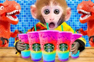🔴Baby Monkey Bi Bon drinks rainbow milk tea and takes care of the farm | Animals Monkey Video Funny