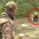 Bear Encounters You Really Shouldn't Watch | wild animal attack claws @Mr CLAWS