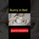 Bunny Playing in Bed| Chhota Rabbit khelte hue| @Animal Dekho #Shorts