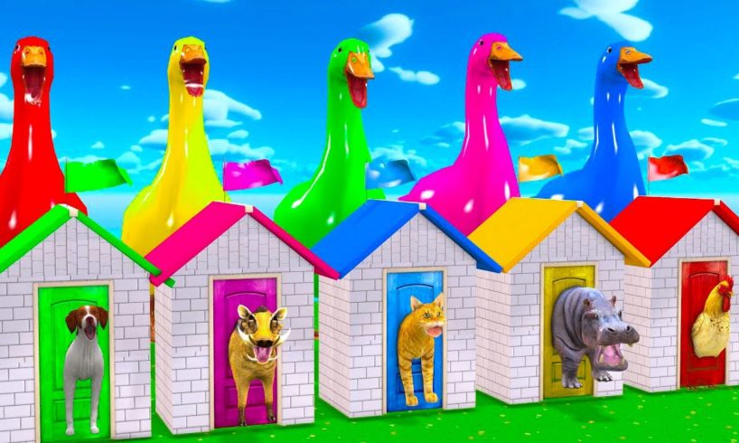 Choose the Right Duck Cartoon Animal Crossing Fountain with Elephant Mammoth Gorilla Cow Tiger T Rex