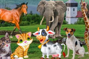Colors of animals: cow, cat, horse, elephant, chicken - familiar animal sounds