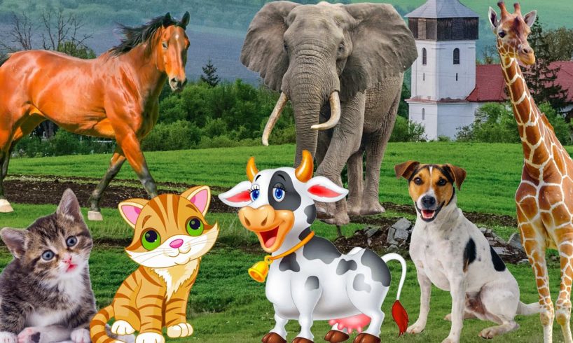 Colors of animals: cow, cat, horse, elephant, chicken - familiar animal sounds