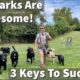 Dog Parks Are Awesome! | How to Guarantee Positive Dog Training & Socialization Opportunities