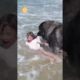 Dog Rescues Little Girl at the Beach | Shorts