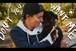 Dogs Rescue and The LGBTQ+ Community | Animal Rescue