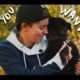 Dogs Rescue and The LGBTQ+ Community | Animal Rescue
