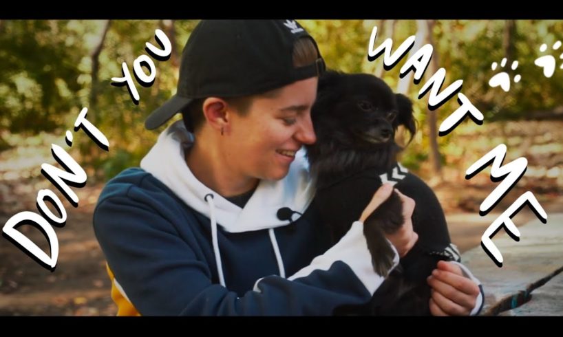 Dogs Rescue and The LGBTQ+ Community | Animal Rescue