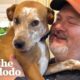 Emaciated Dog Becomes A Brand New Dog In His Forever Home | The Dodo Faith = Restored