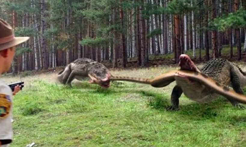 Extreme Fight: Crocodiles vs Snake! Animal Fights Caught On Camera