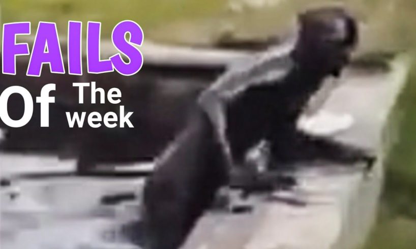 Fails Of The Week : Bad Day - FailSquad