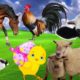 Farm Animals Sounds For Children - Cattle, Cat, Dog, Pig, Horse, Rooster, Donkey, Duck, Goat