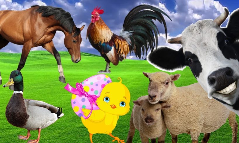 Farm Animals Sounds For Children - Cattle, Cat, Dog, Pig, Horse, Rooster, Donkey, Duck, Goat