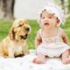 Funniest And Cutest Puppies - Funny Dogs Videos - Cute Life of Cute Animals