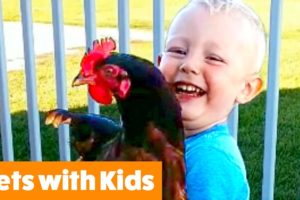 Funniest Kids and Animals | Funny Pet Videos