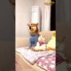 Funniest animals video🔴best compilation 3️⃣0️⃣ Funny Video,Funny Animals,Cats,Funny Cats,Funny Dogs.