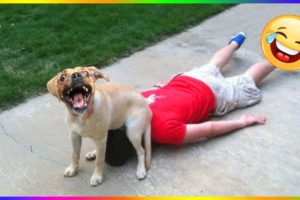 Funny Dog And Cat 😍🐶😻 Funniest Animals #116