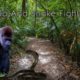 Gorilla And Snake Fight | Wild Animal Fights | Worlds Forest Animals