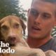 Guy Sees Dog On The Side Of The Road And Runs Straight To Her | The Dodo Faith = Restored