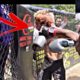 HOOD KNOCKOUTS COMPILATION... **crazy fights**
