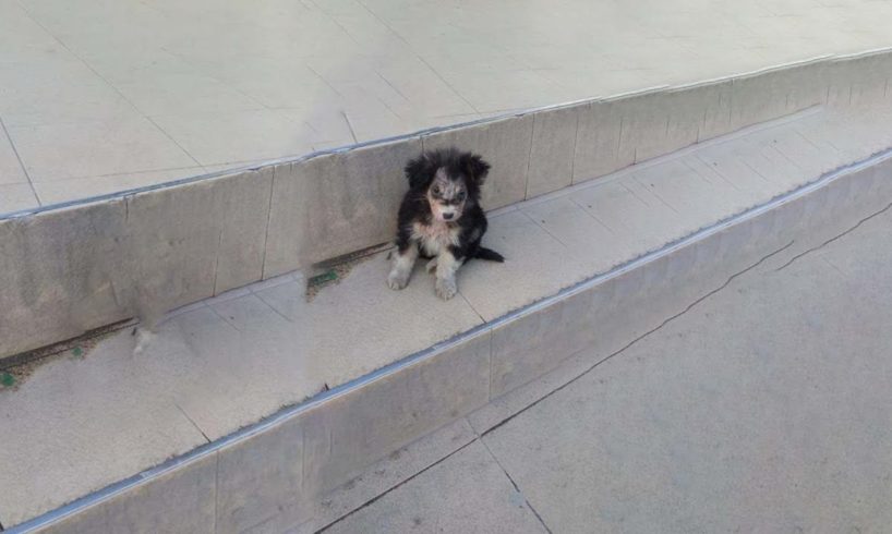 He sitting there on the step in front of supermarket thousand people pass by but no one help