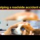 Helping a roadside accident dog | कुत्ते का ऑपरेशन किया #shorts #fkhindifacts
