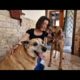 How do dogs live in rural Greece. Talking about it with my friend Valia .