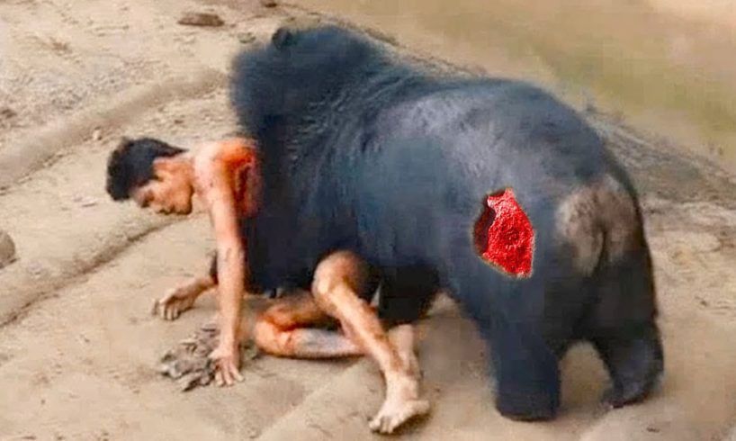 Injured Animals call for help and what happen next - Animal Fighting