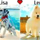 Lisa or Lena Puppies, cute dogs🐶