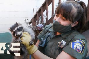 Live Rescue: Most Viewed Moments From San Francisco Animal Control | A&E
