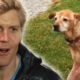 Living Without Limbs: Bravest Bondi Vet Animals! 😍 | Bondi Vet Compilation | Bondi Vet