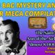 MEGA COMPILATION! OTR Almost 8 Hours! The Saint & Ann of the Airlines! Mystery and Spy! Cozy Scenery