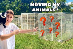 MOVING ALL MY ANIMALS TO MY NEW ZOO ! Part 1