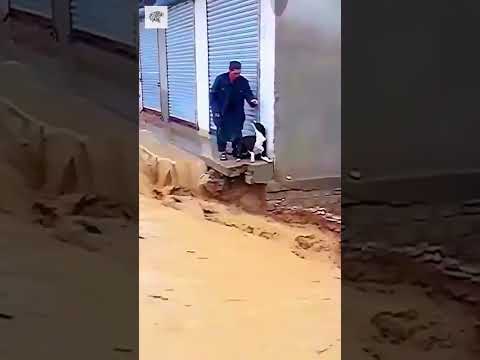 Man Rescues Dog - Credits: Unknown 🎥