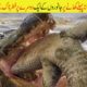 Moments Of Wild Animals Fighting Over Food | جنگلی جانور کھانے پر لڑ رہے ہیں | ABR Kohati TV