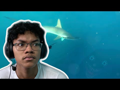 Never Going in the Ocean | NEAR DEATH CAPTURED by GoPro and camera pt.115 Reaction!