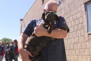 North Shore Animal League America returns with rescued animals