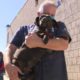 North Shore Animal League America returns with rescued animals
