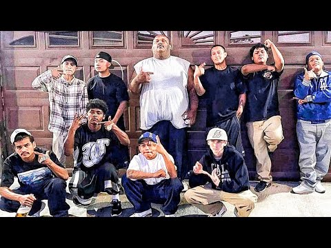 Orange County Gangs - Tongan Crip - Lennox 13 - Royal Samoan Possee - FOE Blocc Crip - Bloodel Piru