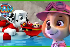 Over 1 Hour of Skye and Marshall Rescues ☁️🔥| PAW Patrol | Cartoons for Kids Compilation