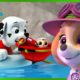 Over 1 Hour of Skye and Marshall Rescues ☁️🔥| PAW Patrol | Cartoons for Kids Compilation