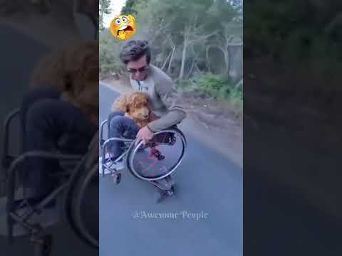 People Are Awesome#17 | Like A Boss Compilation 2022 | Amazing People 2022 | Awesome People #shorts