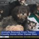 Pets rescued after owner dies